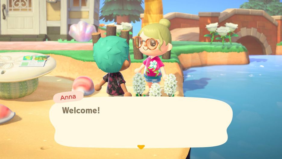Animal Crossing New Horizons