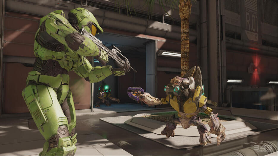 Halo The Master Chief Collection | Occasion