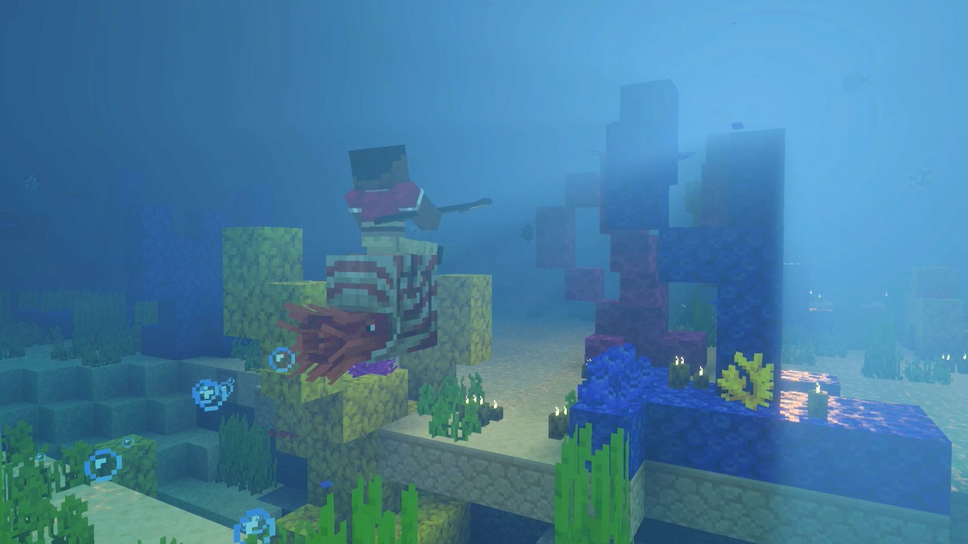 Minecraft (comprend Super Mariotm Pack Spécial Mash-up) thumb 1