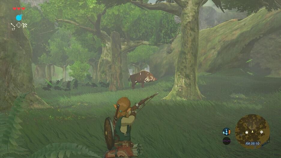 The Legend Of Zelda Breath Of The Wild Nintendo Switch