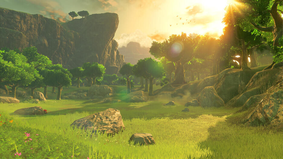 The Legend Of Zelda Breath Of The Wild Nintendo Switch