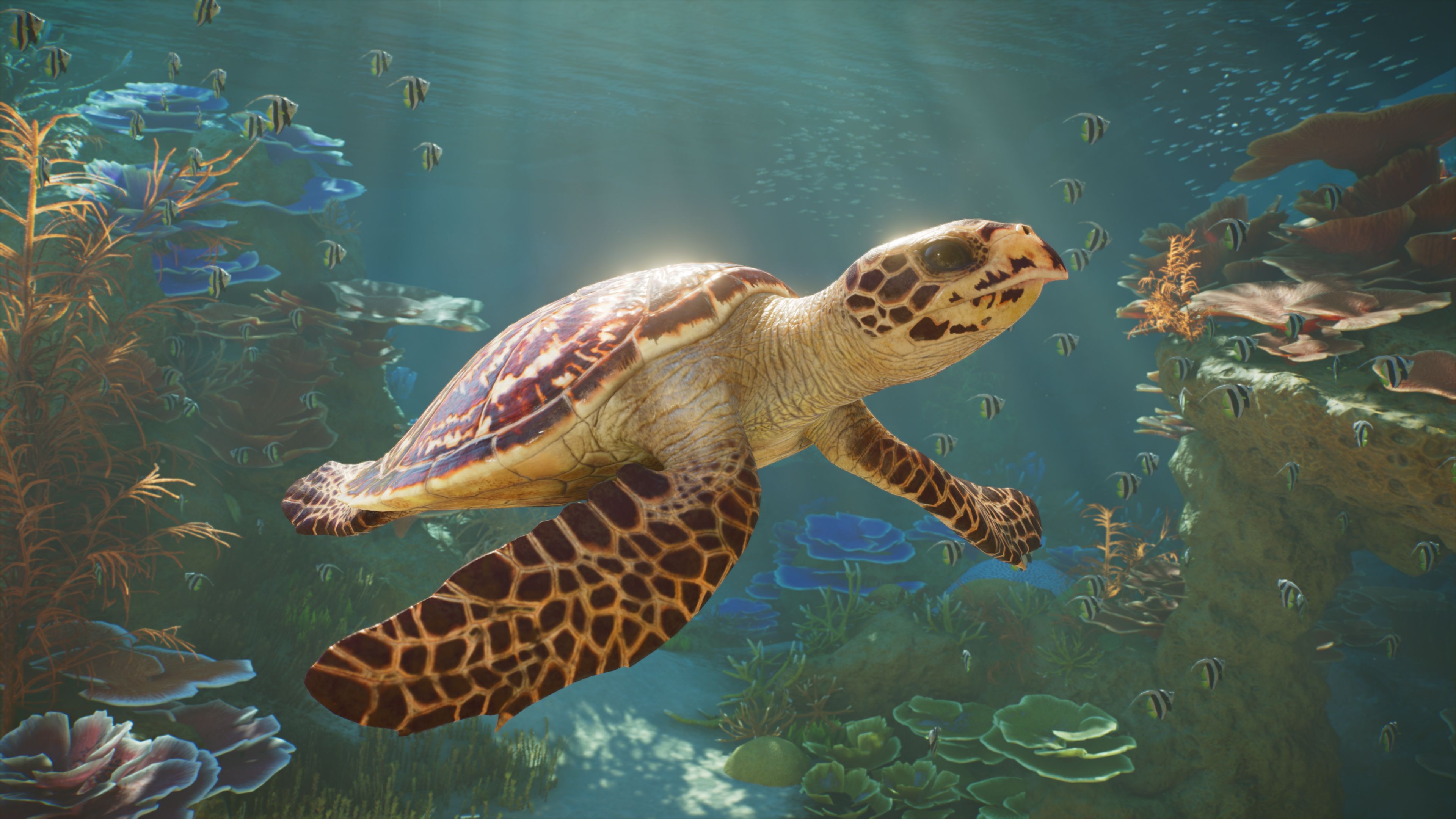 Planet Zoo 2 thumb 10