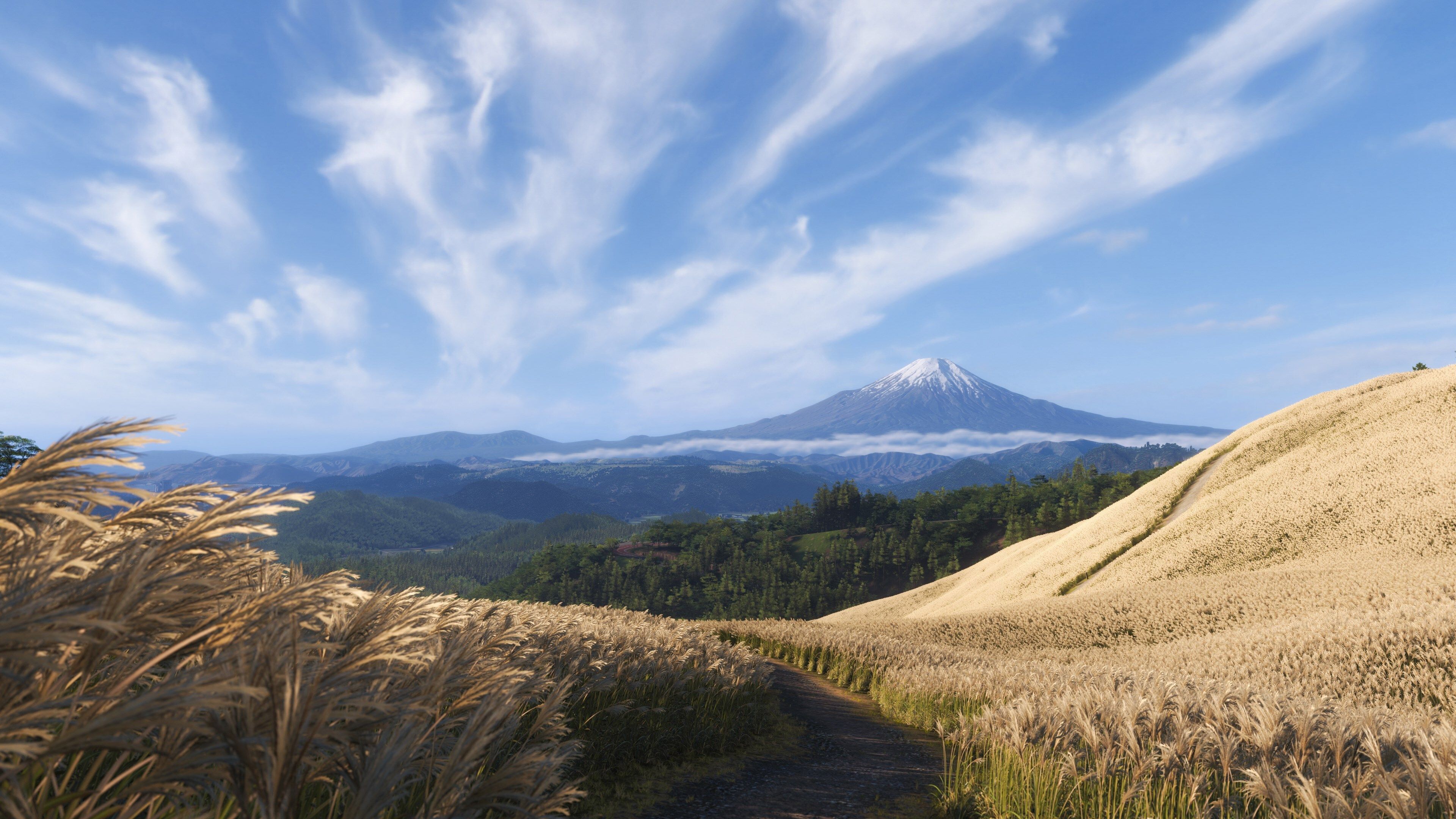 Forza Horizon 6 thumb 2